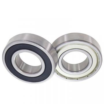 NSK Industry Machine Bearing Deep Groove Ball Bearing 6313 for Pumps/Fans